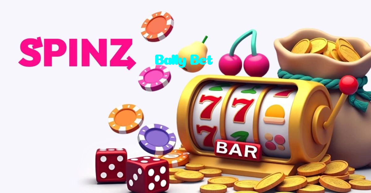available types of Bally Bet  bet including pre-match live express and system bets